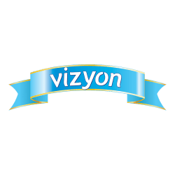 Vizyon