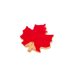 Autumn Leaf Decorated Cookie