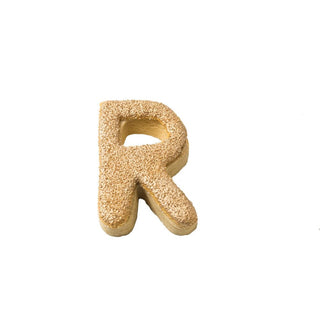 Letter R Decorated Cookie