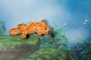 Platypus Decorated Cookie on background (2)