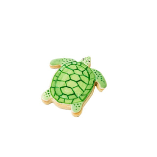 Sea Turtle Decorated Cookie Painted